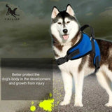Adjustable Dog Harness
