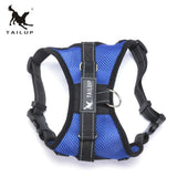 Adjustable Dog Harness