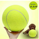 Giant Tennis Ball