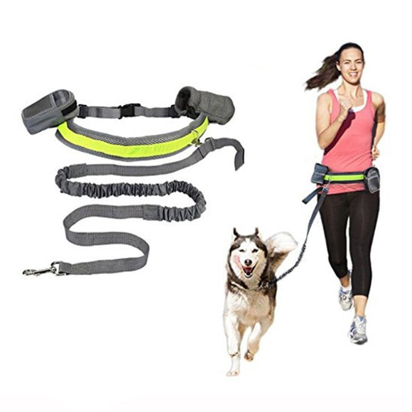 Elastic Belt Dog Leash Zipper Bag Bottle Holder